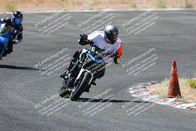 media/Jul-08-2023-2WTD (Sat) [[c8c0d2e149]]/C Group/1040am (Turn 3)/